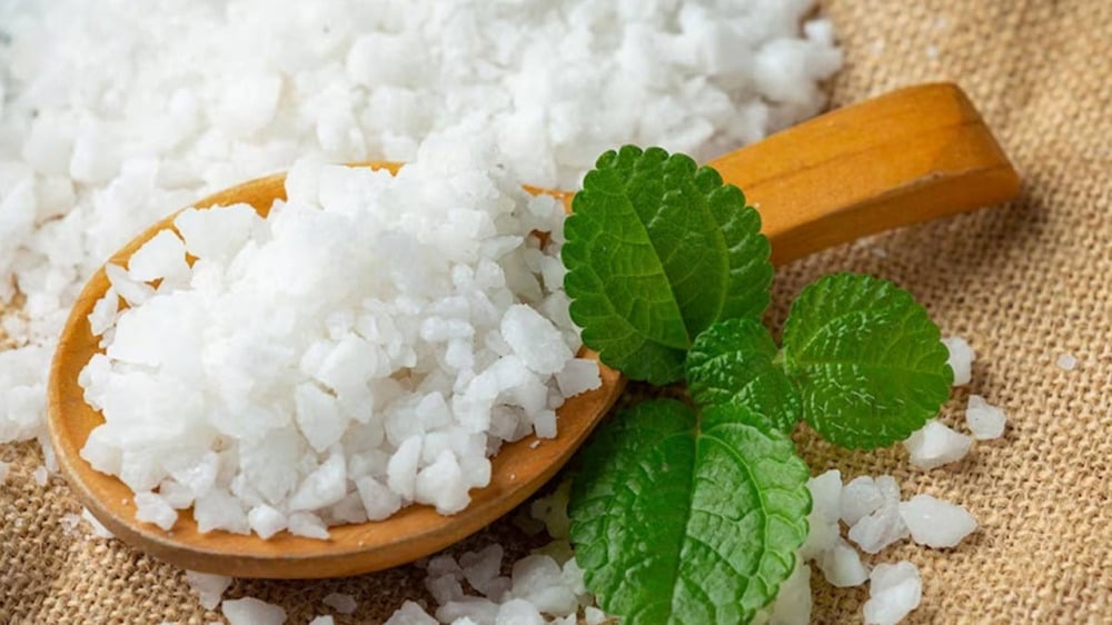 Camphor: The Natural Remedy for Holistic Health and Wellness