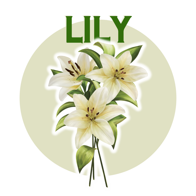 Lily