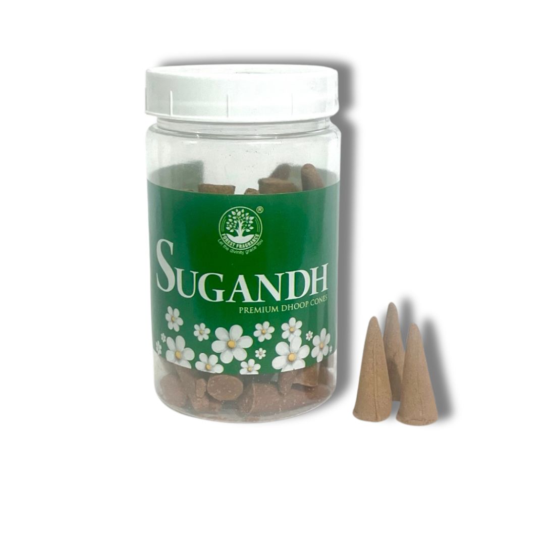 Forest Sugandh Premium CONES Jar (100 gms)