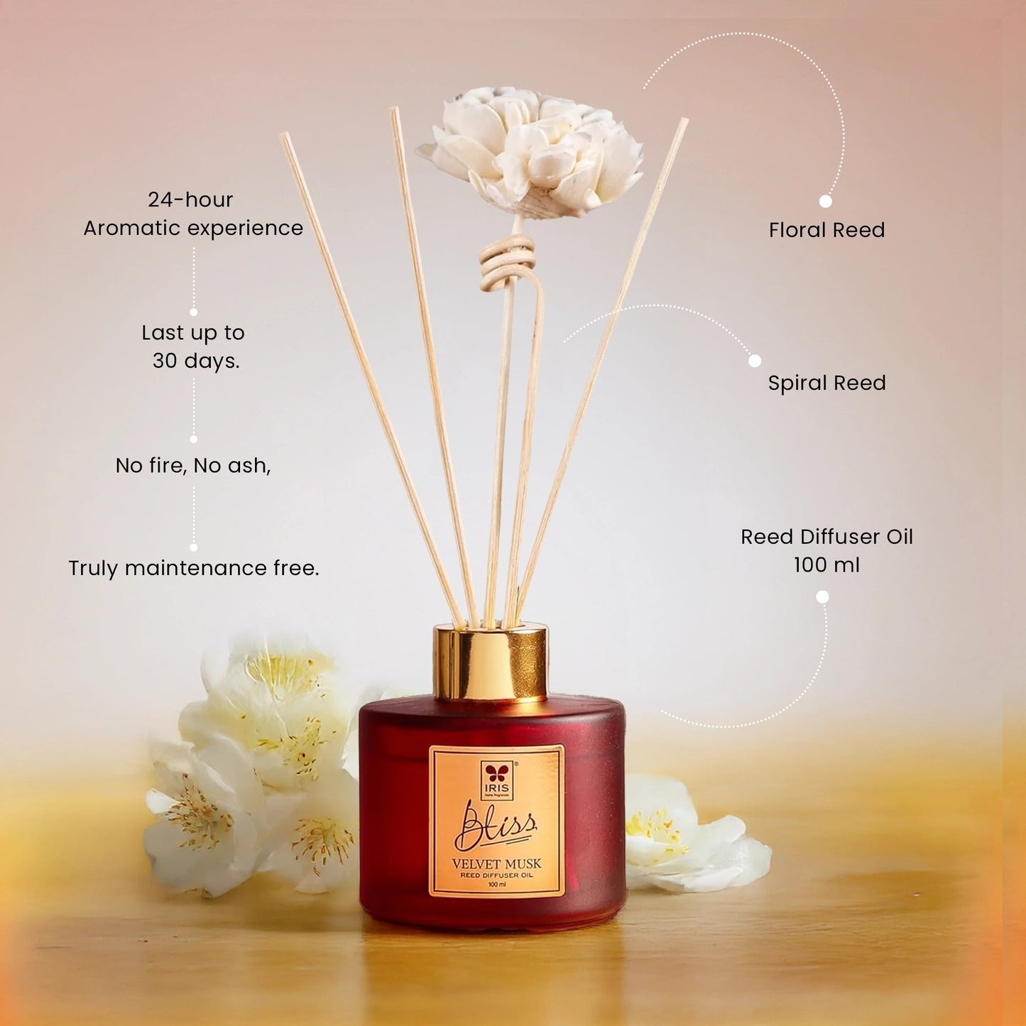 IRIS  BLISS VELVET MUSK REED DIFFUSER SET
