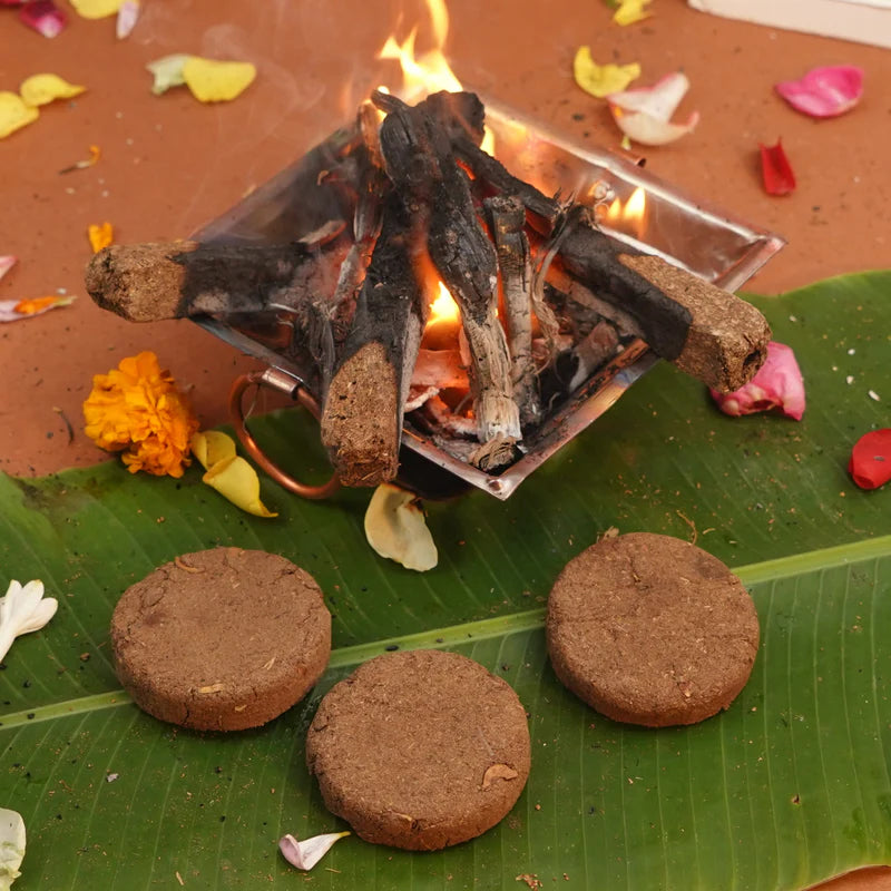 GOMADHI Cow Dung Cakes (10 cakes)