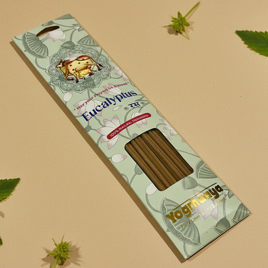 Yogmaaya EUCALYPTUS Ras Incense sticks(40 Sticks)
