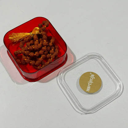 Aartipuja Rudraksha Mala