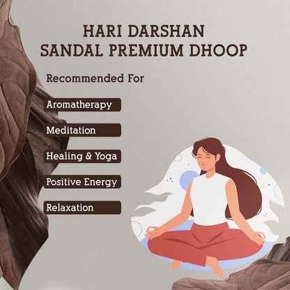 Hari Darshan TEMPLE SANDAL Premium Dhoop Wet Dhoop Sticks (100 gms)