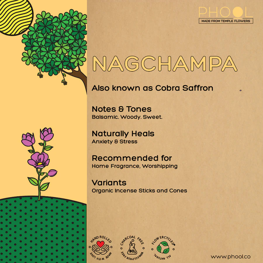 Phool NAGCHAMPA Luxury Incense Cones (40 cones)